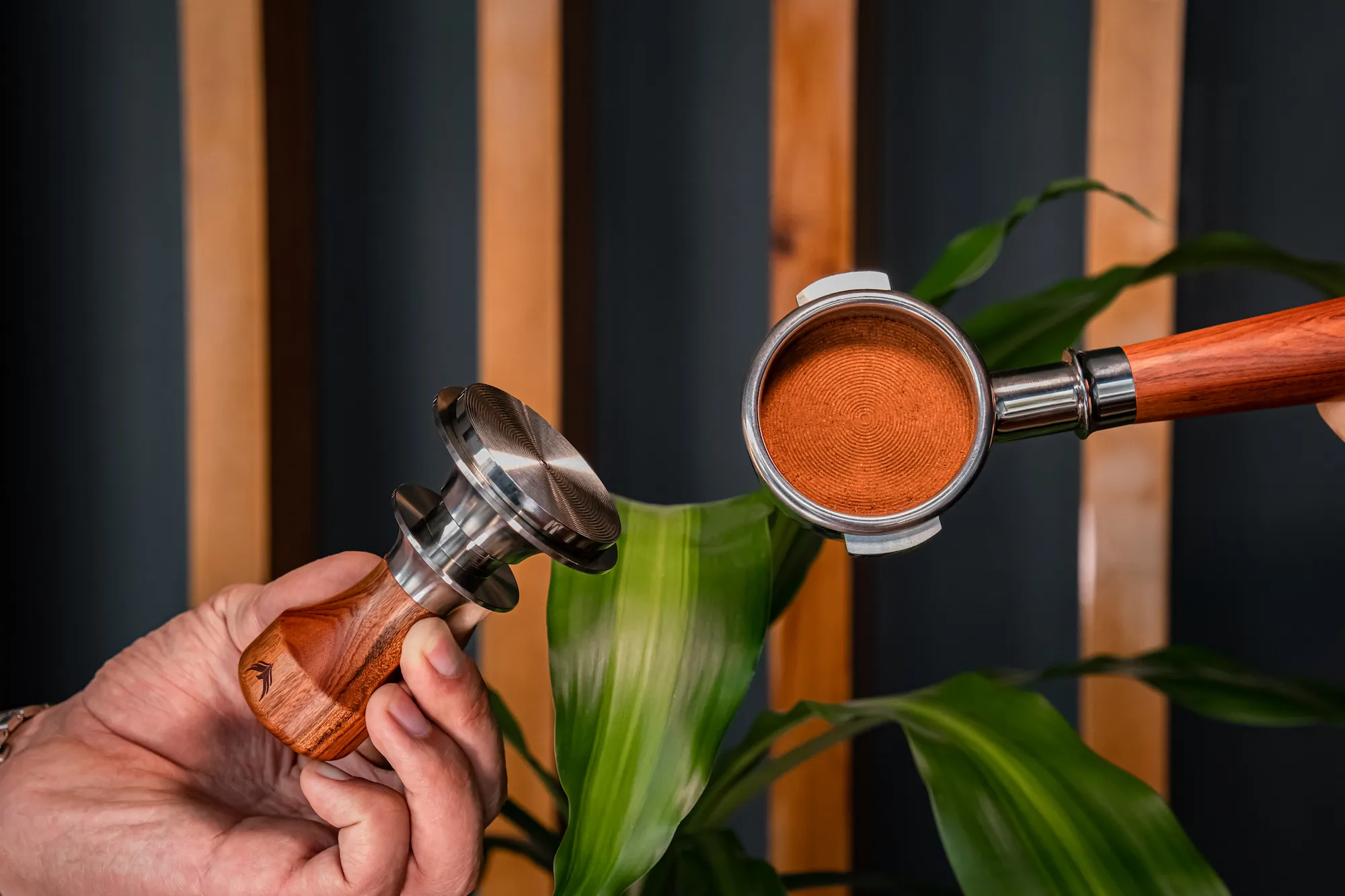 51mm Rosewood Calibrated Espresso Tamper with 20lb, 25lb & 30lb Springs for Delonghi, Casabrews, Smeg - 3